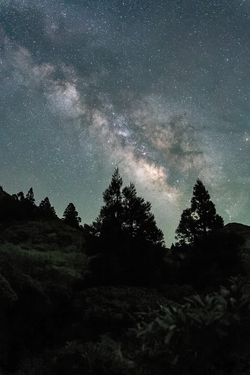 Breathing Under the Stars